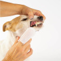 IBANEZ Zahnreinigungs-Fingerlinge für Hundezähne 50 Pads