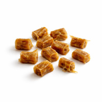 Gänsefleisch Trainings Minis Soft 100g