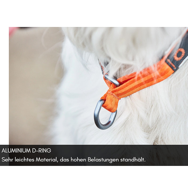 Non-stop dogwear Zugstopp Halsband Cruise Collar in orange XS 36