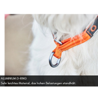 Non-stop dogwear Zugstopp Halsband Cruise Collar in orange XXL 60