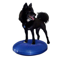 FitPAWS K9 Fitbone Balance Disc Scheibe in blau 36cm