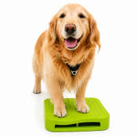 FitPAWS Dog Balance Ramp Rampe in mint grün NEU