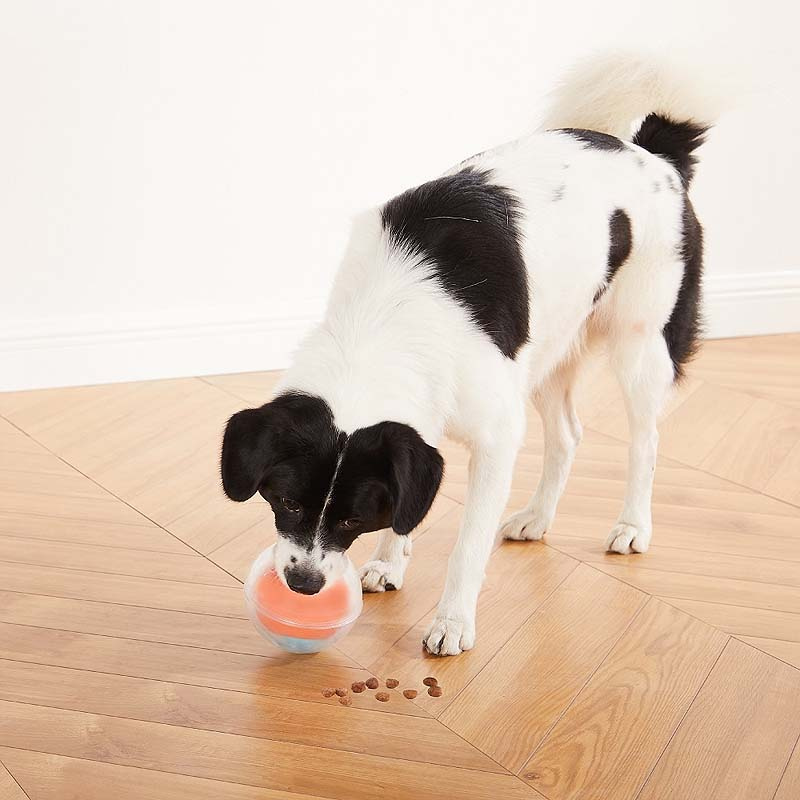 Nina Ottosson Topsy Treat Ball Intelligenzspielzeug LEVEL 1