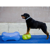 FitPAWS K9 Fitbone Balance Pad Kissen Giant 90x39x10cm Aqua-Türkis