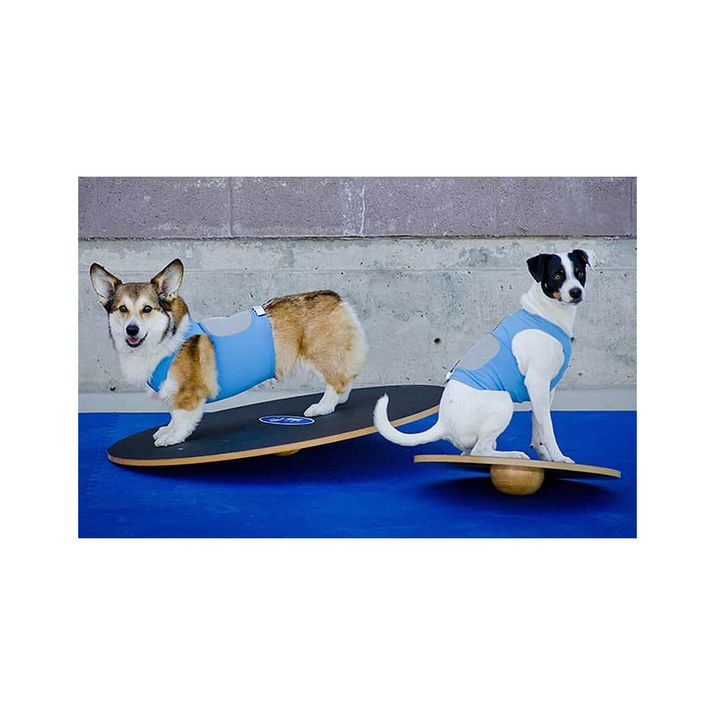 Wackelbrett Welpenspielzeug Wippe Balancierbrett Agility Hundesport