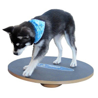 FitPAWS Wobble Board Wackelbrett aus Holz 50cm ø