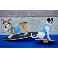 FitPAWS Wobble Board Wackelbrett aus Holz 50cm ø