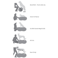 FitPAWS Trax Donut Balance Kissen 40,5cm lila