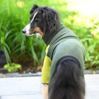 Goldpaw Stretch-Fleece Onesie Pullover mit Beinen grün oliv 6