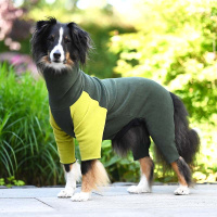 Goldpaw Stretch-Fleece Onesie Pullover mit Beinen grün oliv 14
