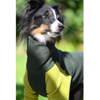 Goldpaw Stretch-Fleece Onesie Pullover mit Beinen grün oliv 14