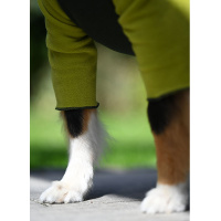 Goldpaw Stretch-Fleece Onesie Pullover mit Beinen grün oliv 14