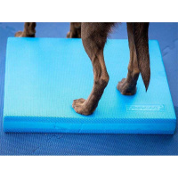 FitPAWS Balance Pad Matte Kissen in blau