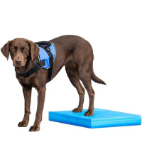FitPAWS Balance Pad Matte Kissen in blau 38 x 46 x 5 cm