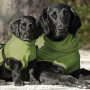 DryUp Trocken Cape Hundebademantel MINI für kleine Hunde in moos grün