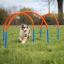 Hoopers Agility Bogen Set orange blau 4 Stück