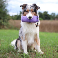 Traningsdummy Dummy schwimmfähig in lila M 500g