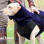 Active Cape Elastic wind & rain Regenmantel für mittelgroße Hunde in dunkelblau