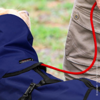 Active Cape Elastic wind & rain MINI Regenmantel für kleine Hunde in dunkelblau 35 cm