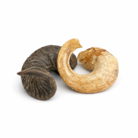 PITUPITA Lammhorn Lammhörner für Hunde 20cm