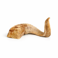 PITUPITA Lammhorn Lammhörner für Hunde 20cm