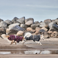 Hurtta Mudventure Coat ECO Regenmantel in eggplant aubergine 45