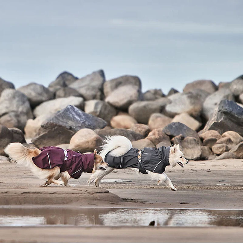 Hurtta Mudventure Coat Regenmantel für Hunde Blackberry grau 55