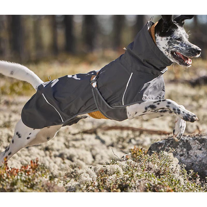 Hurtta Mudventure Coat Regenmantel für Hunde Blackberry grau 55