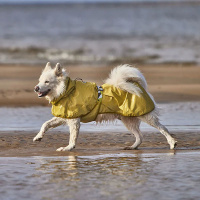 Hurtta Mudventure Reflective Coat reflektierender Regenmantel 60