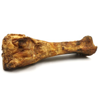 Pferdeknochen Pferdebein mit Gelenk XXL 1100-1400g