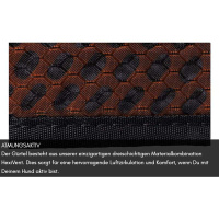 Non-stop dogwear Wandergurt Hiking Canicross Trail Light Belt