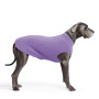 Goldpaw Stretch Fleece Hundepullover in lavendel