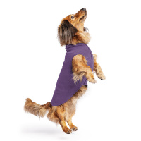 Goldpaw Stretch Fleece Hundepullover in Huckleberry lila violett Größe 20