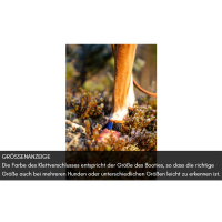 Non-stop dogwear Protector Socks Socken light Pfotenschutz 4-er Pack XL  7-8cm