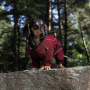 Rukka Pets  thermal overall Wintermantel für kurzbeinige Hunde Dackel in schwarz