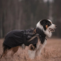 Non-stop Dogwear toller Trekking Regenmantel in schwarz