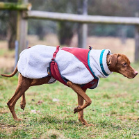 Non-stop Dogwear Trekking Fleece Jacke Pullover für Hunde grau weinrot 33
