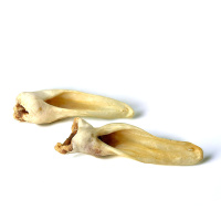 Ziegenohren ohne Fell f&uuml;r sensible Hunde