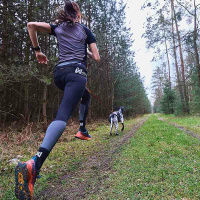 Non-stop dogwear Laufgurt Leinengurt caniX Belt PRO M  66-106cm