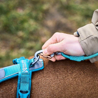 Non-stop dogwear runde Trekking Leine in orange 2,0m | 6mm
