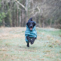 Rukka Pets gefütterter Regenmantel Regenjacke Hayton Warm in aqua blau 25