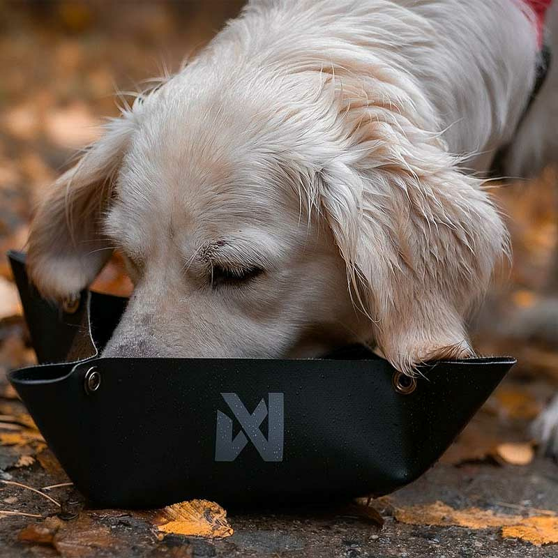 Non-stop Dogwear Trekking Bowl Futternapf Wassernapf in schwarz S