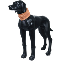 Rukka Pets Kühlhalstuch in apricot M