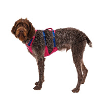 Ruffwear Sicherheitsgeschirr Flagline Alpenglow Pink L/XL