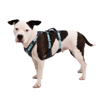Ruffwear Sicherheitsgeschirr Flagline Basalt Gray grau XXS