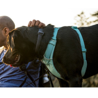 Ruffwear Front Range Brustgeschirr River Rock Green Grün XS