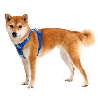 Ruffwear Front Range Brustgeschirr Coastal Mountains Blau L/XL