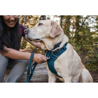 Ruffwear Front Range Brustgeschirr Spring Mountains Bunt L/XL