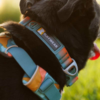Ruffwear Halsband Front Range Spring Fade L