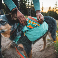 Ruffwear Quencher Reisenapf Wassernapf Futternapf 1L...